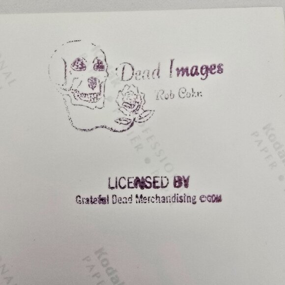 Grateful Dead Licensed Rob Cohn Photograph Of Phil Lesh Playing Bass Guitar - Picture 2 of 14